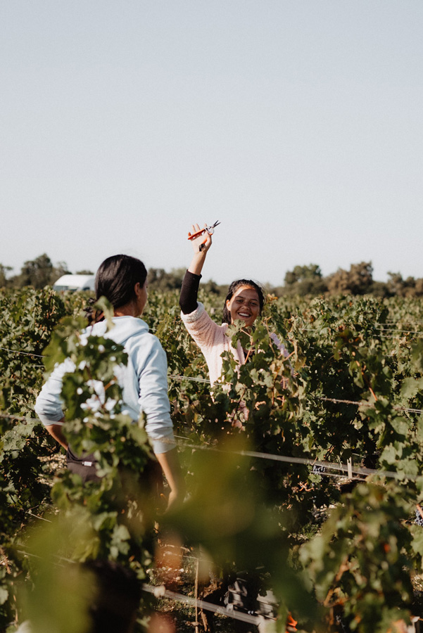 lagrange_vendanges-web-113