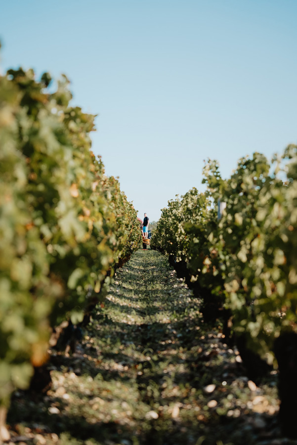 lagrange_vendanges-web-14